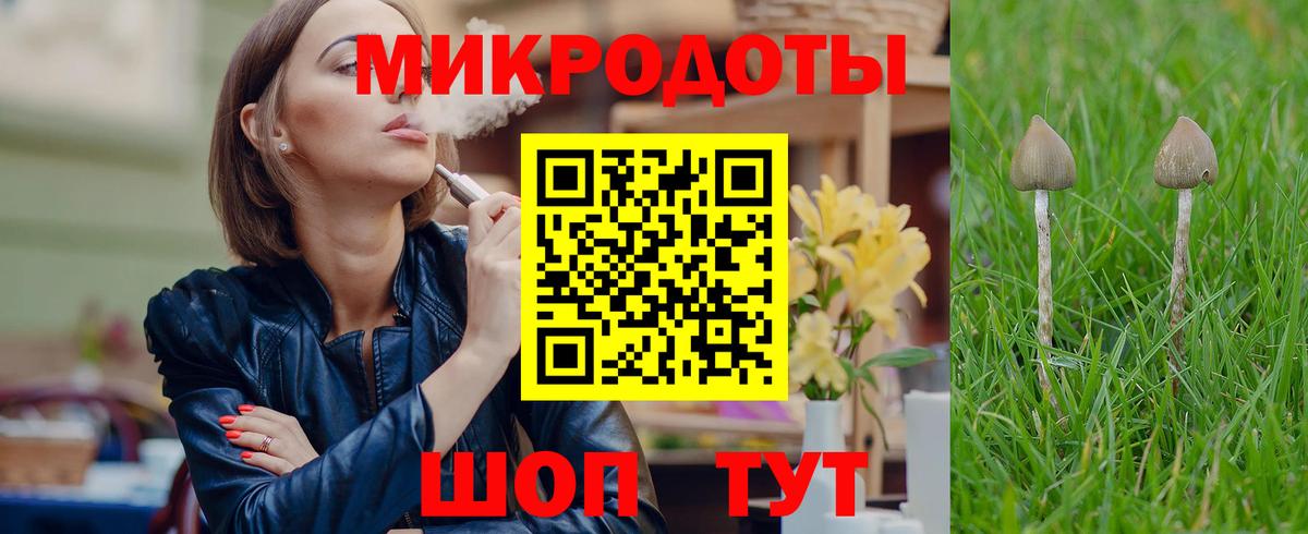 Псилоцибиновые грибы Cubensis Златоуст