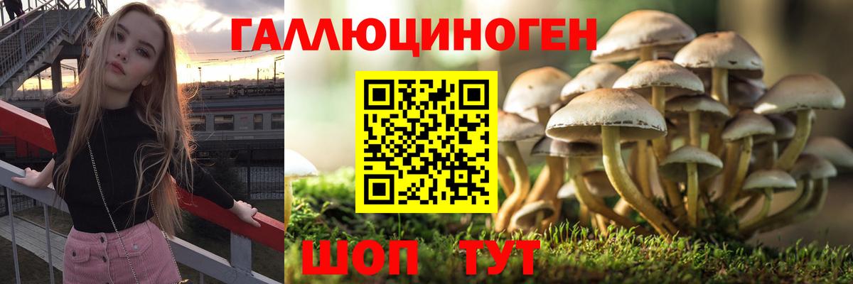Галлюциногенные грибы Magic Shrooms  Галлюциногенные грибы Psilocybe  Вход с VPN  купить  цена  Златоуст 
