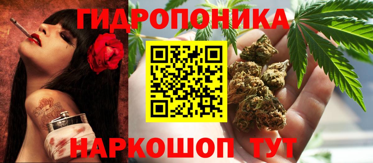 Бошки Шишки марихуана  Вход с VPN  Златоуст  Конопля тримм  Марихуана конопля 